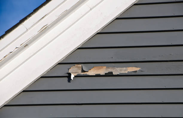 Trusted Conesus Lake, NY Junk Removal Experts
